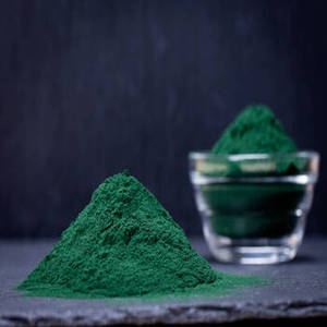 Espirulina Verde en Polvo Premium de la India para Suministro a Granel a Fabricantes de Superalimentos y Distribuidores de Ingredientes Nutricionales - Product Image 2
