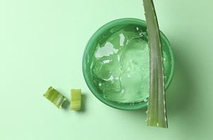 Gel Corporal de Aloe Vera - Hidratante y Refrescante, Natural, Vegano, Orgánico, 500 ml - Product Image 2