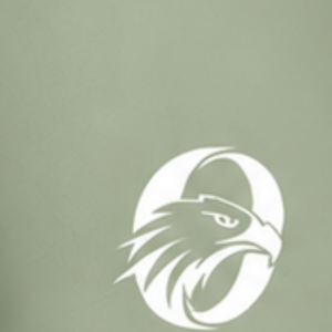 Shorts de rugby vert sauge, blanc et gris, taille élastique avec cordon de serrage, légers, pour l'entraînement et les matchs sportifs en équipe - Product Image 6