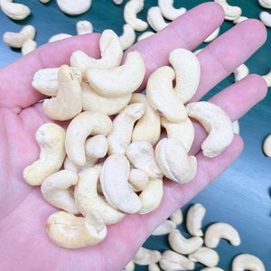 ขายส่งเม็ดมะม่วงหิมพานต์จำนวนมาก SANTIGO บริการตลอด 24 ชั่วโมง - Product Image 1