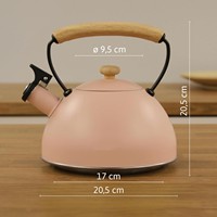 Bouilloire à sifflet en acier inoxydable pour la maison, théière avec poignée en bois pour cuisinières, bouilloire à eau pour usage domestique