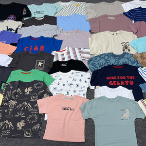 เสื้อยืดเด็กคุณภาพสูง ผ้าฝ้าย พิมพ์ลายผสม แขนสั้น สไตล์ลำลอง เสื้อเด็กขายส่งจำนวนมาก พร้อมส่ง เสื้อยืดเด็กผู้ชาย สต็อกล็อต - Product Image 2