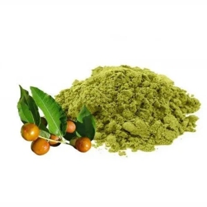 Poudre de feuilles de Sidr sans produits chimiques, 100g, 100% pure et naturelle, pour favoriser la croissance et renforcer les cheveux (OEM/ODM, best-seller) - Product Image 1