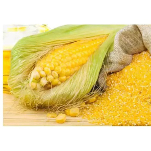 ANIMAL FEED 60% PROTEIN <b>MAIZE</b> YELLOW CORN <b>MEAL</b> FOR DAIRY CATTLE - Product Image 1