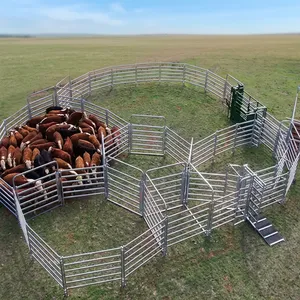 Sistema de Corral para Manejo de Ganado de Acero Galvanizado de Alta Resistencia con Paneles para Ganado, Puertas y Corral de Clasificación para Gestión Agrícola - Product Image 5