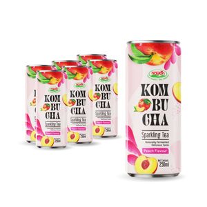 Kombucha Pêche en Gros : Boisson Digestive Énergisante, Thé Herbal Pétillant – Fabricant, Fournisseur en Vrac, Boissons Personnalisées OEM en Carton - Product Image 2