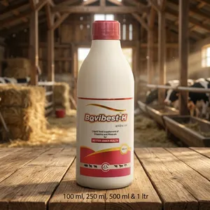 Complément alimentaire liquide de vitamines et de minéraux Bovibest H de qualité supérieure pour bovins laitiers, buffles, moutons et chèvres, disponible à la vente - Product Image 3
