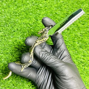 Rasoir de barbier professionnel Dragon Handle en acier inoxydable pour la coupe et l'effilage des cheveux, couteau de coiffure de précision - Product Image 1