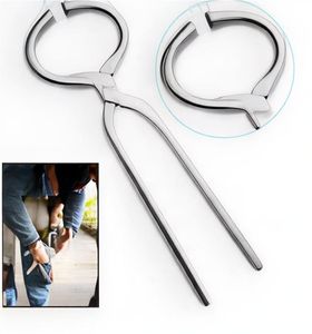 Probador de Cascos de Caballo de Acero Inoxidable de Alta Calidad, Instrumento Quirúrgico Veterinario Hecho a Mano para Diagnóstico Médico - Product Image 1