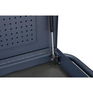 Armoire industrielle CSPS 79 cm en acier bleu, personnalisable, support OEM, capacité 135 kg, système de verrouillage à clé, roulement à billes 1 - Product Image 3