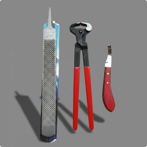 Kit d'outils de ferrage professionnel 4 pièces – Ensemble de coupe-ongles pour chevaux robuste pour ferriers - Product Image 1