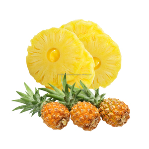 Factory Price Hot Sale Factory In Vietnam International Standard Canned <b>Pineapple</b> Slices Bulk Supply - Product Image 3