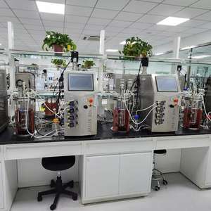 Le bioréacteur en verre à paroi unique de 2L nettoie soigneusement et se prépare pour la prochaine course. - Product Image 3