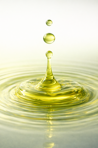 Aceite de Cajeput (CJ-001) Van Aroma - Product Image 3