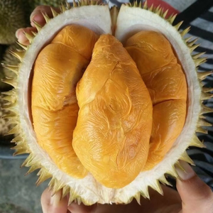 Pulpa de Durian Congelada de Nueva Cosecha 2026, Sabor Dulce Natural - Product Image 1