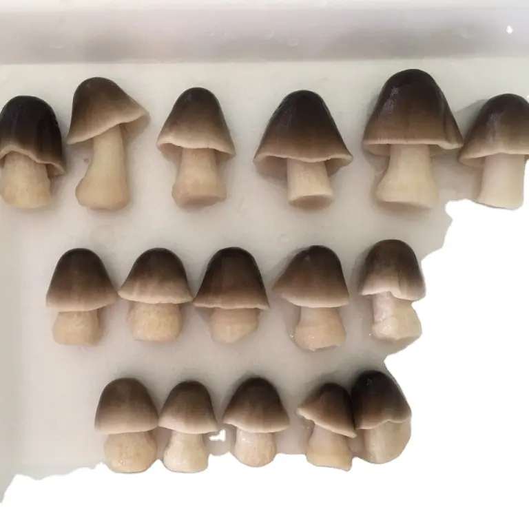 Whole Freeze Straw Mushrooms HIGH QUALITY FROZEN STRAW MUSHROOM with good price Sophie