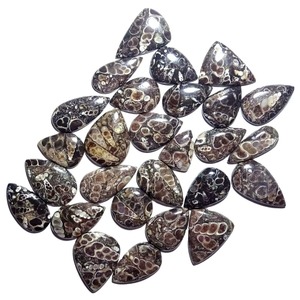 Offre Spéciale : Cabochon en Agate Turritella Naturelle, Pierre Précieuse Non Montée pour la Fabrication de Bijoux (Bague, Pendentif, Boucles d'Oreilles) – En Vente - Product Image 1