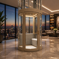 Ascensore Domestico con Capacità di 400kg, Moderno Elevatore Panoramico per Villa, 2-6 Piani, per Residenze di Lusso, Facile Installazione e Sicurezza