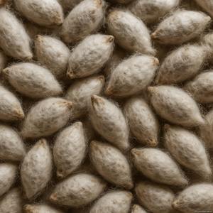 Natural Cottonseed Premium Quality Cleaned Dried <b>Oil</b> Seeds for <b>Animal</b> Feed <b>Oil</b> Production and Bulk Supply - Product Image 4