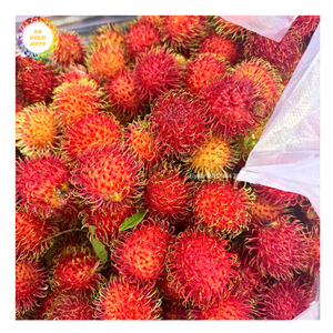 Ramboutan surgelé d'origine vietnamienne pour l'industrie alimentaire, approvisionnement en gros, fruits IQF pour desserts, smoothies, jus et restauration, exportation - Product Image 1