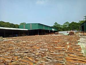 Canela Cassia rota, dividida y entera-Caliente y picante de Vietnam - Product Image 5