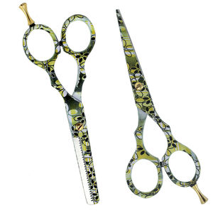 Ciseaux de coiffure professionnels VG10 en acier inoxydable, légers et tranchants, pour droitiers, outil de coupe de salon, prix compétitif - Product Image 1