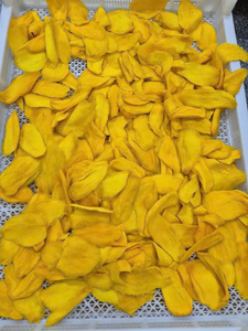 Mangues séchées moelleuses à faible teneur en sucre du Vietnam, naturellement sucrées, collantes, collation saine, vente en gros, fournisseur d'exportation - Product Image 4