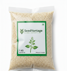 Semillas de Sésamo Blanco |   Aceite Natural Premium de Alta Calidad, Descascarado y Limpio |   Contenido Fresco y Nutritivo de Grado Alimenticio |   Suministro a Granel de Semillas de Sésamo - Product Image 1