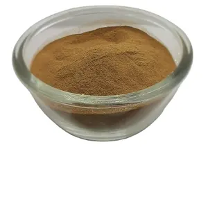 Bulk Supplier of Amla Fruit Powder from India
