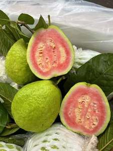 Guayaba Congelada IQF al por Mayor, Entera y en Mitades |   Exportadora de Frutas Tropicales Congeladas Naturales de Vietnam - Sra. Grace - Product Image 2