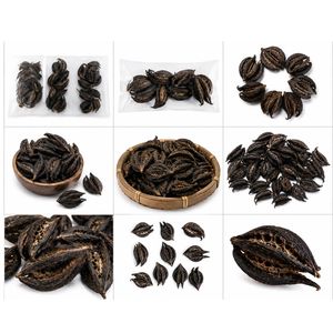 AQUA VRIKSHA Garra de Tigre Seca Natural para Acuarios, Peceras de Betta, Peceras de Camarones y Acuapaisajismo |   Paquete de 24 - Product Image 4