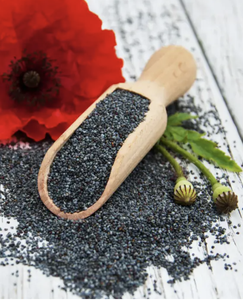 Graines de pavot de haute qualité, graines de pavot en vrac de haute qualité, graines de pavot séchées naturelles, approvisionnement pour la fabrication alimentaire et la vente en gros - Product Image 4