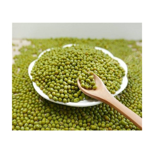 Haricots Verts Entiers Premium Soigneusement Nettoyés pour Emballage de Détail et Exportation Prêts pour l'OEM - Product Image 4