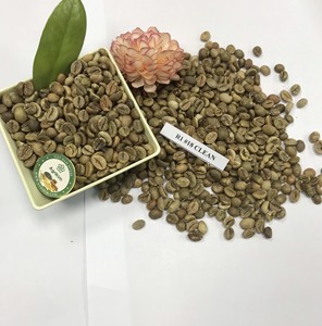 Grains de café Robusta crus de qualité supérieure pour boissons à base de café provenant d'un fournisseur vietnamien fiable. Contactez Mme Doris au +84 35 254 2206 - Product Image 4