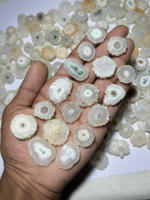 Tranche de quartz agate naturel solaire, taille cabochon, 20-40mm, pierre précieuse verte, motif arbre, cadeau, Rajasthan Inde, ARHAN GEMS, DHL/UPS