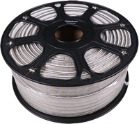 Tira de LED para Exteriores Nanoco, 72 Chips 2835 SMD, IP65, Anti-UV, PVC, 30000 Horas de Duración, Proveedor Número 1 en Vietnam, Venta al Por Mayor