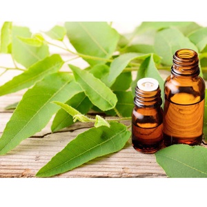 Huile essentielle d'eucalyptus pure pour la protection contre les insectes et les moustiques, huile naturelle à base de plantes au prix de gros - Product Image 5