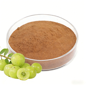 Extracto de Amla de la Mejor Calidad, 40% Natural, Polvo de Fruta de Emblica Officinalis para el Cuidado de la Piel, el Cabello y la Salud, Disponible para la Venta - Product Image 5