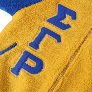 เสื้อแจ็คเก็ตบอมเบอร์แบบกลับด้านได้ Sigma Gamma Rho ผ้าเชอร์ปา อุ่นสบาย มีซิป สไตล์วาร์ซิตี้ เสื้อคลุมลำลองสำหรับฤดูหนาว รับผลิตแบบ OEM ODM - Product Image 6