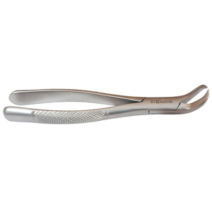 Pinzas de Extracción Dental de Cuerno de Vaca Superior Fig. 23, Pinzas Quirúrgicas Dentales de Acero Inoxidable de Grado Premium para Extracción de Dientes - Product Image 4