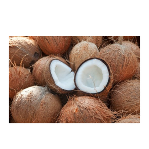 Coco Seco Premium Semi Descascarillado, Producto Agrícola Tropical para Exportación, Mejor Calidad de Marca - Product Image 1