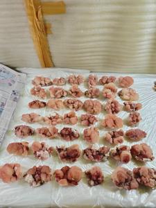 Lote de Stilbites Rojos Naturales y Hermosos, Colección de Cristales Premium para Exhibición, Decoración, Sanación y Regalo - Product Image 3