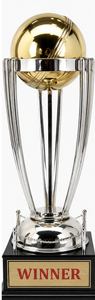 Golden Cricket <b>Trophy</b> <b>Cup</b> Winner Runner Up Metal Award For Sports Achievement Display - Product Image 5