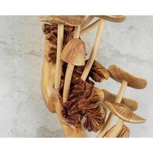 Fabuleuse sculpture murale en bois en forme de champignon, faite à la main, décoration rustique, art pour salon, forme irrégulière, artisanat en bois - Product Image 4