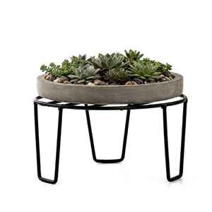 Maceta Moderna para Suculentas de Hormigón con Soporte de Metal Negro para Uso en Interiores, Diseño Minimalista, Forma Circular - Product Image 1