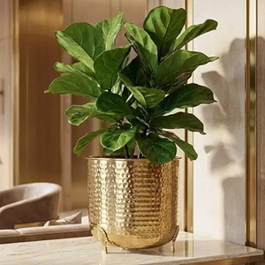 Pot de fleurs en laiton plaqué or, best-seller, moderne, luxueux, rond, pour décoration intérieure minimaliste. - Product Image 1