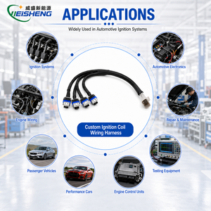 Aangepaste injector bedradingssysteem motorsensor ECU bedradingssysteem assemblage OEM - Product Image 2