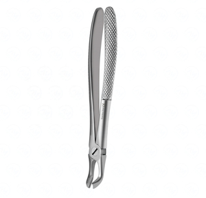 Instruments chirurgicaux pour l'extraction dentaire des racines, modèle anglais, pour les procédures dentaires en clinique et hôpital - Product Image 2