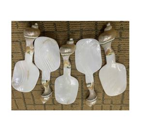 Turbo Shell Handle 20cm Cubiertos de bambú Tallado a mano Madre de perla Cuchara de cocina para el hogar Cocina Fiesta Restaurante Uso - Product Image 1