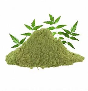Poudre de Neem pour Fournisseur en Gros d'Ingrédients Naturels, Poudre de Neem pour la Fabrication de Produits à Base de Plantes, Approvisionnement en Gros au Meilleur Prix - Product Image 4
